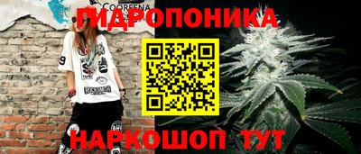 mdpv Можга