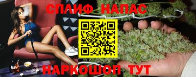 mdpv Можга
