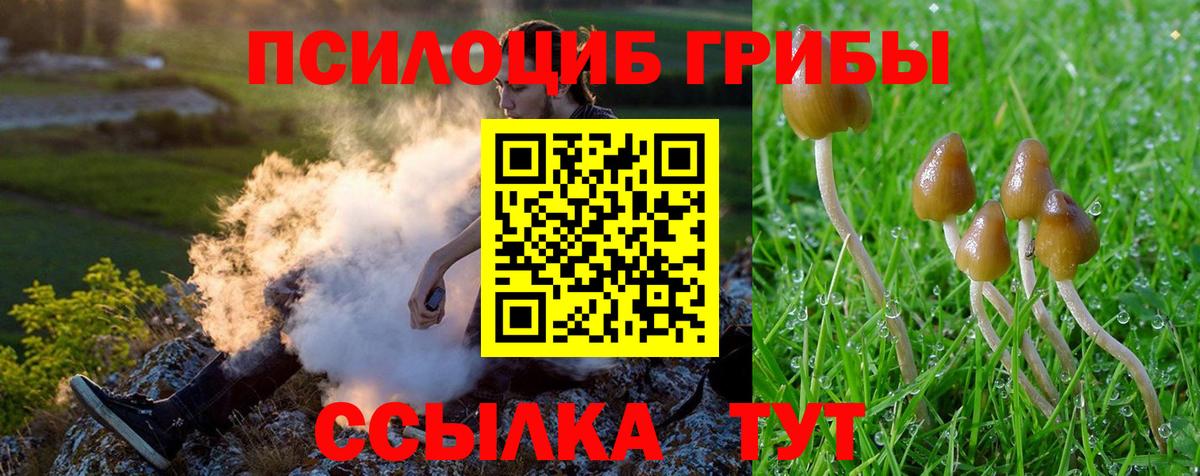 Галлюциногенные грибы GOLDEN TEACHER Зерноград