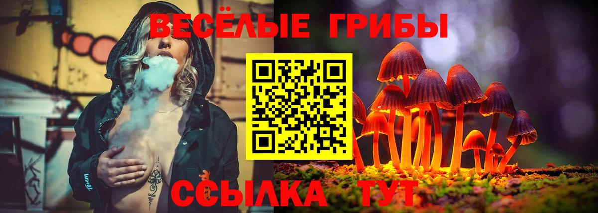 Псилоцибиновые грибы Psilocybine cubensis  Вход с VPN  Псилоцибиновые грибы Cubensis  купить наркоту  Зерноград 